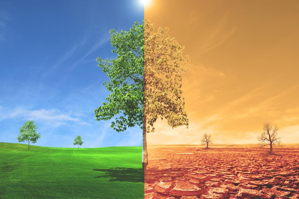 Curso de El cambio climatico y la agricultura en Latinoamrica Foto1 (2)