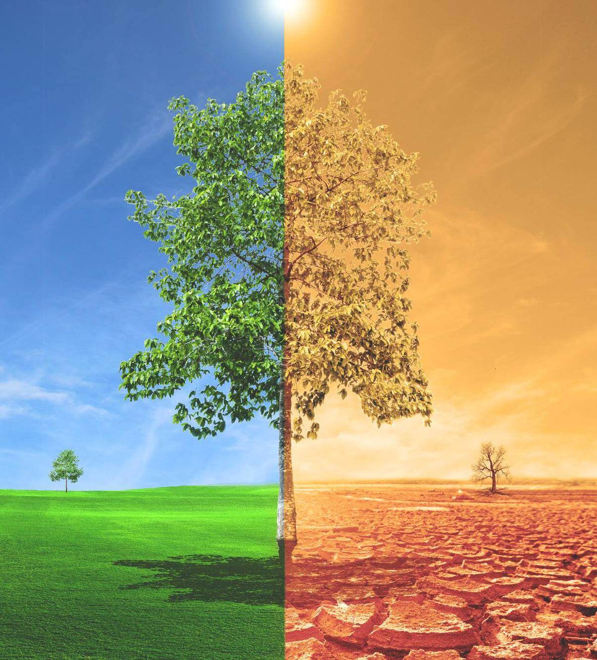 Curso de El cambio climatico y la agricultura en Latinoamrica Foto1-2